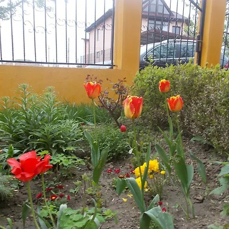 Casa Antonia Vama Veche