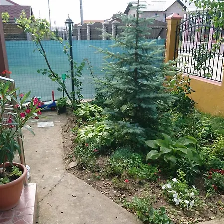 Casa Antonia Affittacamere Vama Veche